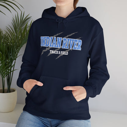 Indian River Graphic Hoodie - Cozy Unisex Heavy Blend® Sweatshirt