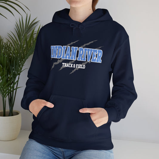 Indian River Graphic Hoodie - Cozy Unisex Heavy Blend® Sweatshirt