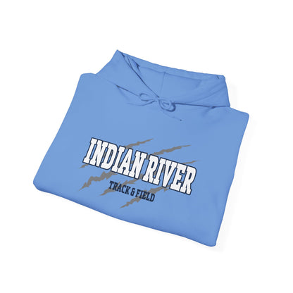 Indian River Graphic Hoodie - Cozy Unisex Heavy Blend® Sweatshirt